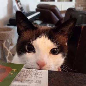 Meet your Posher, Ali